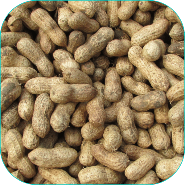 Cacahuates