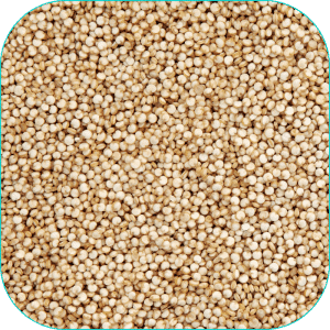 Semilla de quinoa