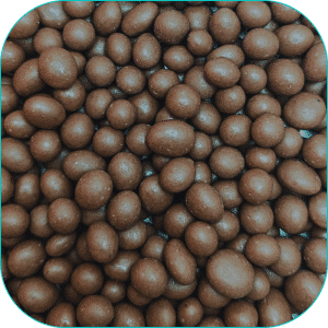 Uvas Cubiertas con Chocolate